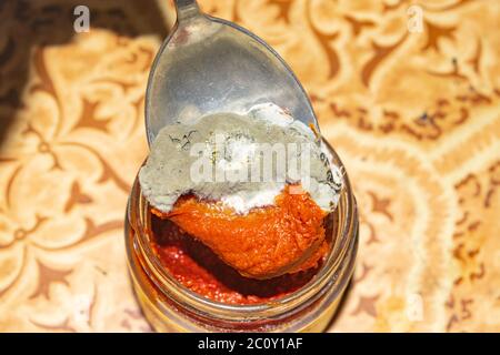 Moisissure poussant sur la pâte de tomate. Gros plan Banque D'Images