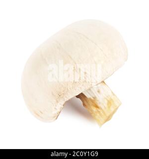 Champignons Champignon frais et pelés Banque D'Images