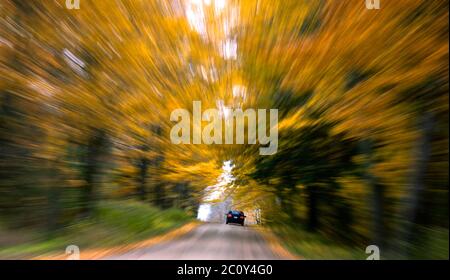 Route de campagne. Paysage avec la couleur des feuilles d'automne, et belle route d'asphalte en automne. Flou de mouvement, effet de zoom. Banque D'Images