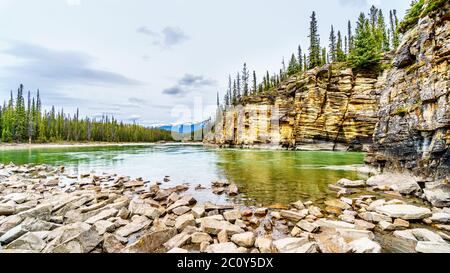 L'eau turquoise de la rivière Athabasca, juste après les chutes Athabasca, dans le parc national Jasper, Alberta, Canada Banque D'Images