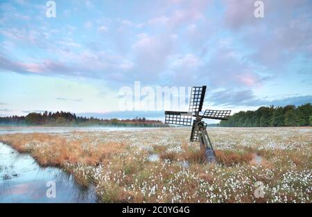 vieux moulin à vent en bois sur marais avec herbe de coton Banque D'Images