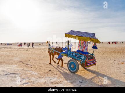 Chariot décoré à White Rann, Gujarat, Inde Banque D'Images