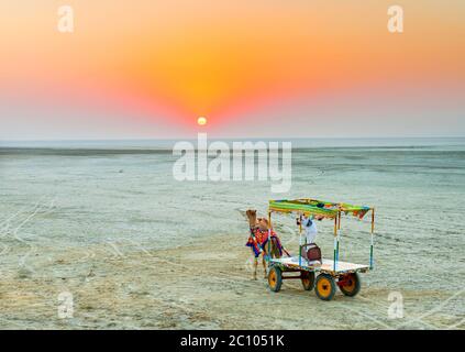 Charrette de chameau décorée au Rann de Kutch, Gujarat, Inde Banque D'Images