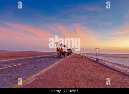 Chariot à chameau décoré avec un coucher de soleil spectaculaire en arrière-plan au Grand Rann de Kutch, Gujarat, Inde Banque D'Images