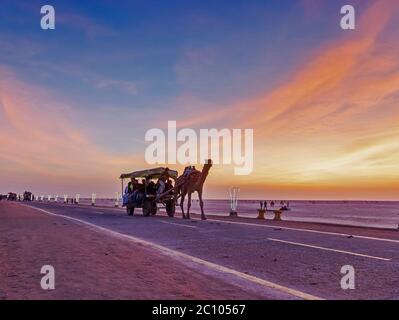 Charrette de chameau décorée pendant Rann utsav à Greater Rann de Kutch, Gujarat, Inde Banque D'Images