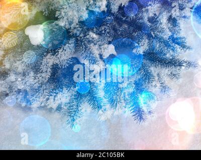 Vue de dessus d'un pin couvert de glace avec bokeh multicolore Banque D'Images