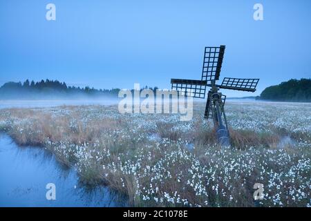 vieux moulin sur marais avec coton-herbe Banque D'Images