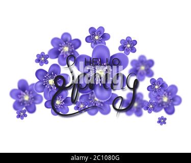 Lettres Hello Spring. Illustration de Vecteur