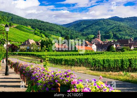 Belle campagne de la région Alsace - célèbre 'route de la vigne' en France. Husseren les châteaux village Banque D'Images