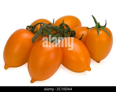 Tomates jaunes sur une branche. Tomates fraîches isolées. Banque D'Images