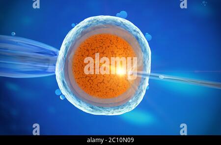 3d illustration colorée d'une fécondation in vitro d'un ovule Banque D'Images