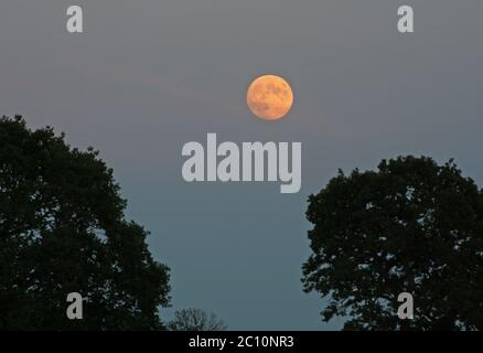 Pleine lune qui s'élève au-dessus des terres agricoles du lac Banque D'Images