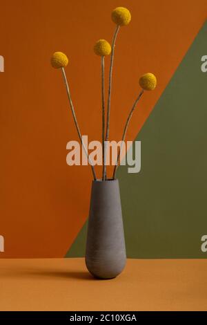 Pot en argile grise ou vase avec plusieurs fleurs sauvages séchées jaunes avec de longues tiges debout sur une table brune contre un mur de couleur double en isolement Banque D'Images