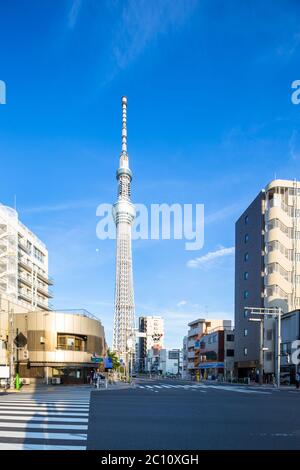 tour de tokyo et bâtiments modernes à tokyo Banque D'Images