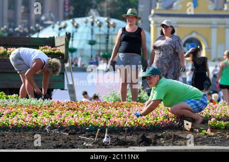 Les femmes de la municipalité qui s'occupent des fleurs sur un lit de fleurs. 21 juin 2019. Kiev, Ukraine Banque D'Images