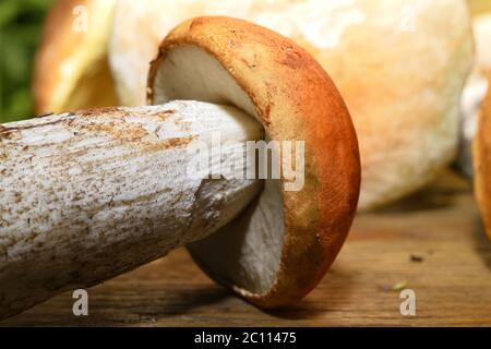 Champignon sauvage sur la table avec une faible profondeur de champ champignon sauvage sur la table avec une faible profondeur de champ Banque D'Images