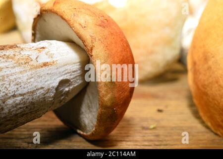 Champignons sauvages sur la table Banque D'Images