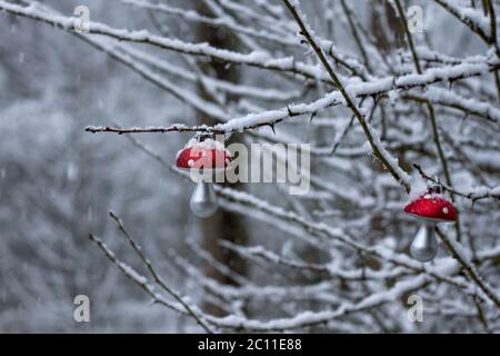 Amanita muscaria ou mouche agarique légendaire champignon décoration de noël dans le jardin d'hiver avec neige Banque D'Images