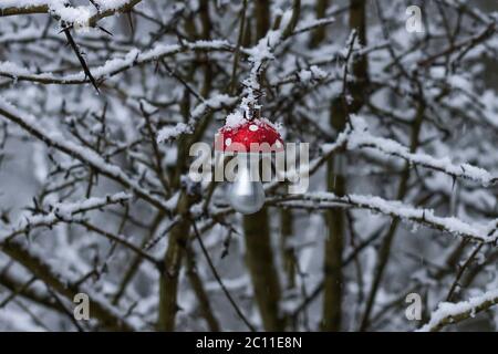 Amanita muscaria ou mouche agarique légendaire champignon décoration de noël dans le jardin d'hiver avec neige Banque D'Images