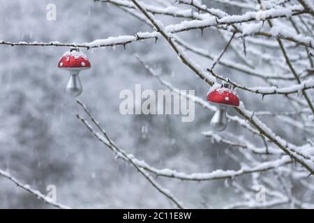 Amanita muscaria ou mouche agarique légendaire champignon décoration de noël dans le jardin d'hiver avec neige Banque D'Images