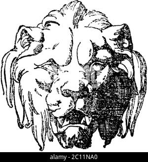 lion / Pannera leo / Löwenkopf aus einer Cartouche von Lienard. 19. Jahrhundert französisch. / carnet de motifs, ) Banque D'Images
