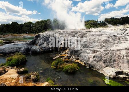 Piscine de boue bouillonnante à Rotorua, Nouvelle-Zélande Banque D'Images