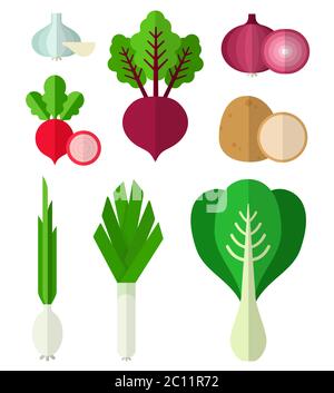 Définir l'illustration vectorielle mûr frais légumes utiles dans un modèle plat. Illustration de Vecteur