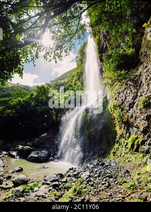 Cascade élevée dans la jungle tropicale de l'île Maurice Banque D'Images