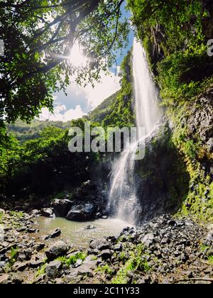 Cascade dans la jungle tropicale de l'île Maurice, rivière Noire Banque D'Images