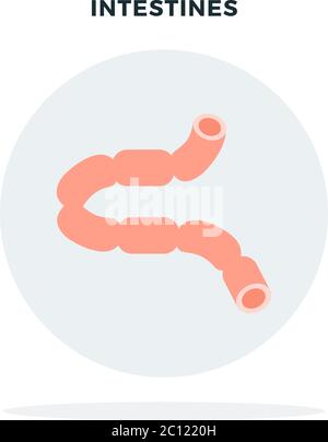 Intestin humain dans un vecteur à cercle gris isolé à plat Illustration de Vecteur