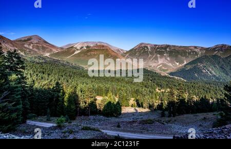 Les lacs, plateaux et forêts d'Arsiyan dans le quartier de Artvin Savsat offrent une image naturelle étonnante. Banque D'Images