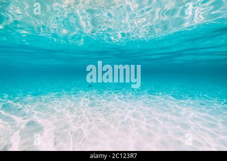 Océan tropical transparent avec sable blanc et reflet de l'eau sous l'eau à Hawaï Banque D'Images
