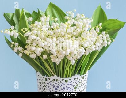 Un grand bouquet de lys de la vallée de fleurs (Convallaria majalis), de petites cloches blanches dans un vase sur fond bleu. Banque D'Images