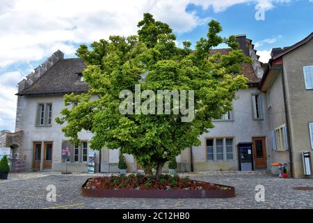 Château Laufen-Uhwiesen à Schaffhausen Suisse sans touristes pendant la crise de la couronne Banque D'Images