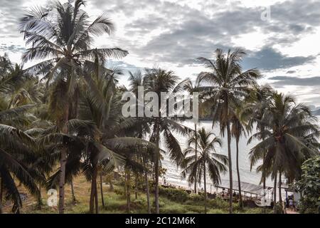 Magnifiques sommets verts de palmiers sous ciel nuageux et orageux à El Nido aux Philippines Banque D'Images