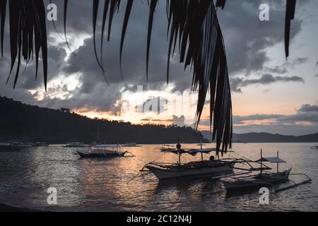 Les bateaux de pêche philippins traditionnels se sont amarrés dans une baie derrière un palmier pendant le beau coucher du soleil sur l'île El Nido Palawan aux Philippines Banque D'Images