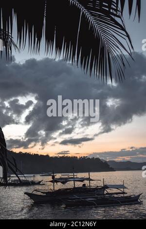 Arbres traditionnel Philippino bateaux de pêche amarrés dans une baie au coucher du soleil derrière les feuilles de palmier à El Nido Palawan aux Philippines Banque D'Images