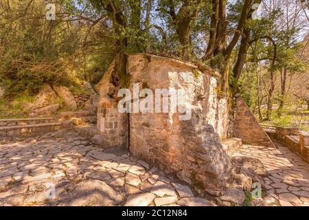 Agia Théodora de Vasta miracle église dans le Péloponnèse, Grèce. Les arbres qui poussent sur le toit sans racines à l'intérieur Banque D'Images