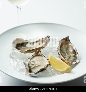 L'huître ouverte sur lave Banque D'Images