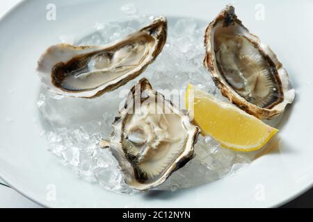 L'huître ouverte sur lave Banque D'Images