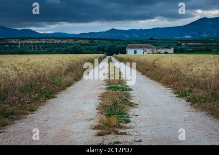 Route rurale menant à une petite maison de campagne Banque D'Images