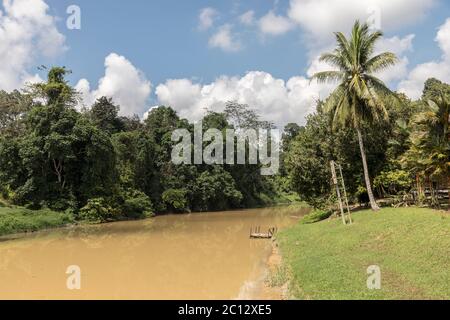 Rivière Niah au parc national de la grotte de Niah, Sarawak, Malaisie Banque D'Images