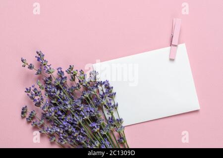 Bouquet de lavande odorante en fleurs près d'une feuille de papier blanc vierge pour des notes sur un fond rose texturé. Carte de vœux estivale et romantique. Banque D'Images