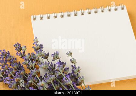 Gros plan d'un petit bouquet de lavande parfumé sur un bloc-notes en papier vierge sur un fond jaune texturé. Carte de vœux estivale et romantique. Banque D'Images