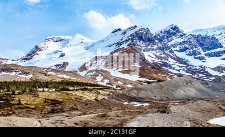 Mont Andromeda, Mont Athabasca, Hilda Peak et Boundery Peak au sud du glacier Athabasca, dans les champs de glace Columbia, parc national Jasper (Alberta) Banque D'Images