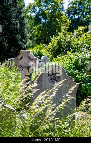 Cimetière de Brompton, Londres, UK Banque D'Images