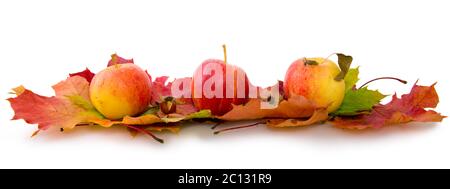 Feuilles d'érable d'automne et trois pommes. Banque D'Images