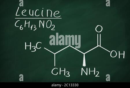 Formule chimique de la leucine sur un tableau noir Banque D'Images