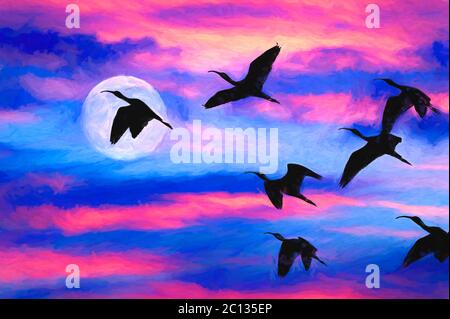 Une Flock of Birds Fly dans le ciel du soir alors que la pleine lune s'élève dans le ciel Banque D'Images