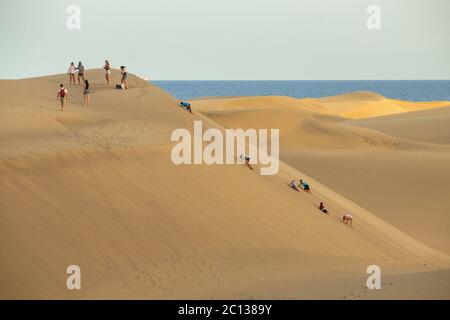 Gran Canaria, Îles Canaries, Espagne. 13 juin 2020. Les habitants de la région se retrouvent sur la vaste étendue de dunes de sable de Maspalomas sur la Grande Canarie au coucher du soleil. Avant Covid les dunes seraient également pleines de touristes regardant le coucher du soleil. Les îles Canaries et de nombreuses autres régions d'Espagne, sont dans la phase finale d'un verrouillage quatre phases du coronavirus de désescalade. L'économie des îles Canaries étant fortement tributaire du tourisme, les habitants sont impatients de voir le retour des touristes. Crédit : Alan Dawson/Alay Live News Banque D'Images